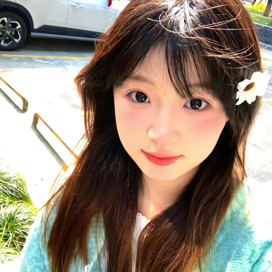 鸟!鸟!鸟!